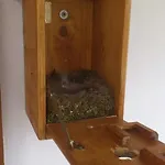 Vakantiehuis Berki Porta Vendeghaz