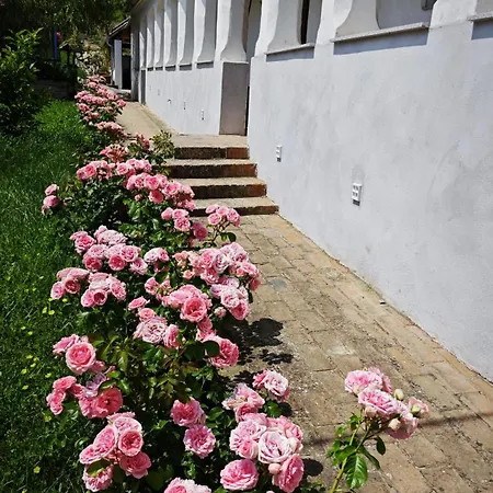 Casa vacanze Berki Porta